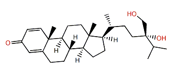 Chabrolosteroid A